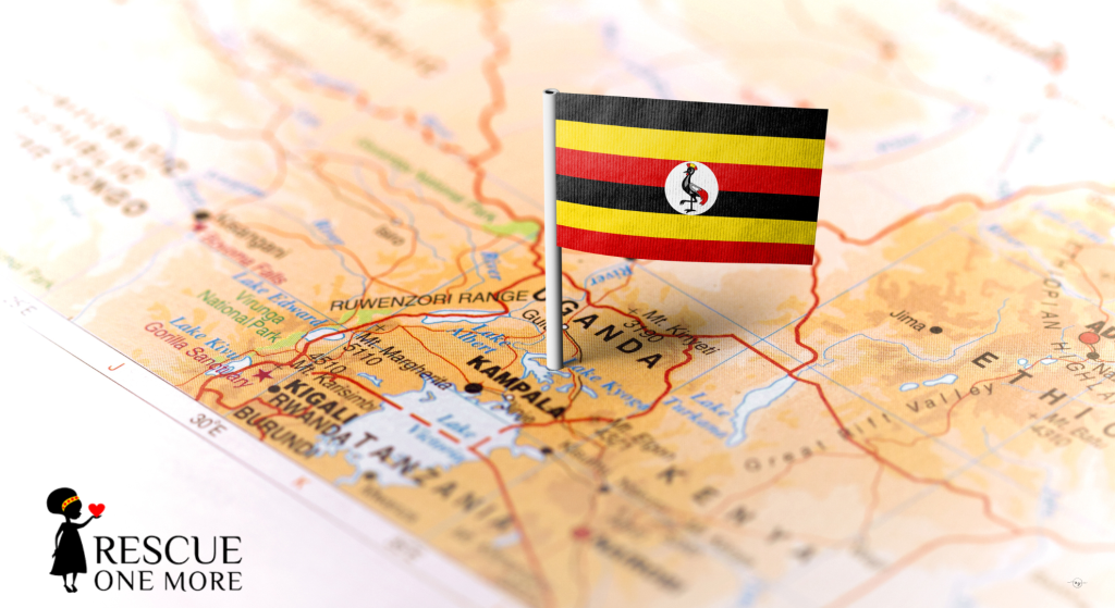 Alan-Stalcup_Rescue-One-More